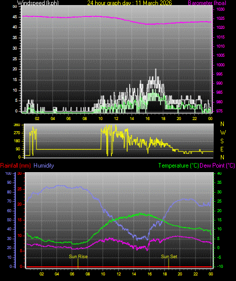 24 Hour Graph for Day 11