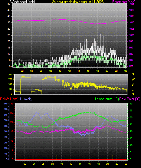 24 Hour Graph for Day 11