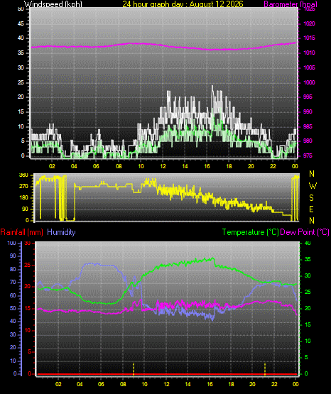 24 Hour Graph for Day 12