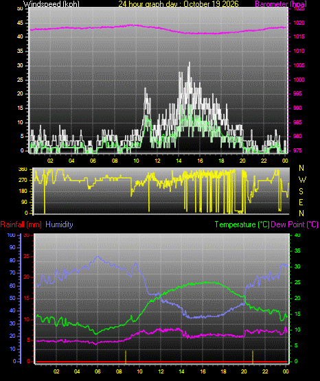24 Hour Graph for Day 19