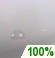 Foggy until evening and light rain starting in the evening.