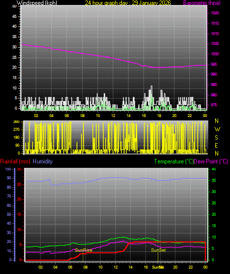 24 Hour Graph for Day 29