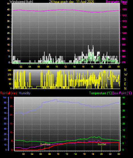 24 Hour Graph for Day 11