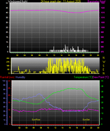 24 Hour Graph for Day 11