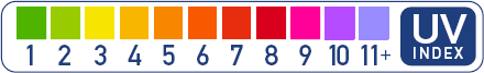 UV Index Scale