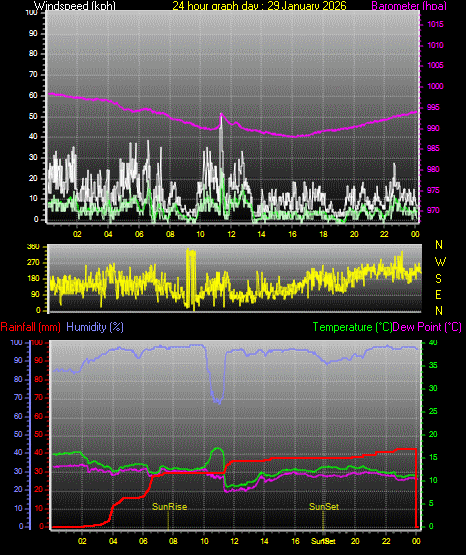 24 Hour Graph for Day 29