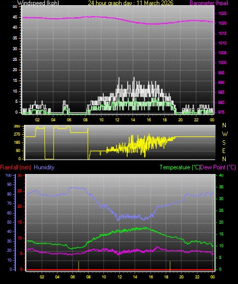 24 Hour Graph for Day 11