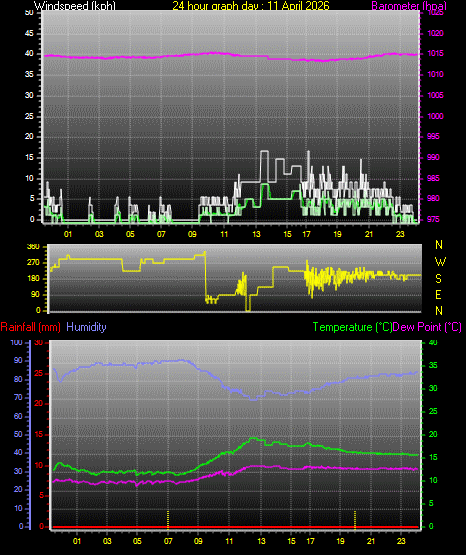 24 Hour Graph for Day 11