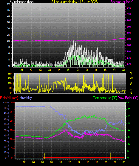 24 Hour Graph for Day 19