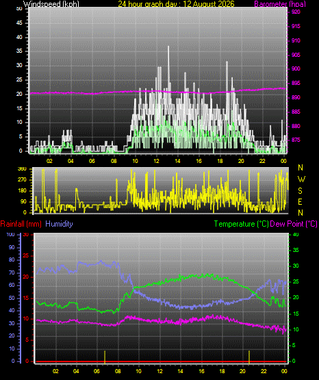 24 Hour Graph for Day 12