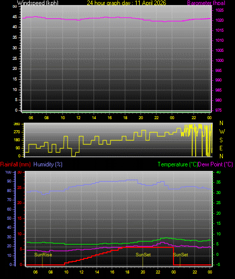 24 Hour Graph for Day 11