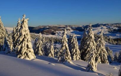 Απίστευτης ομορφιάς εικόνες από την χιονισμένη Πίνδο
