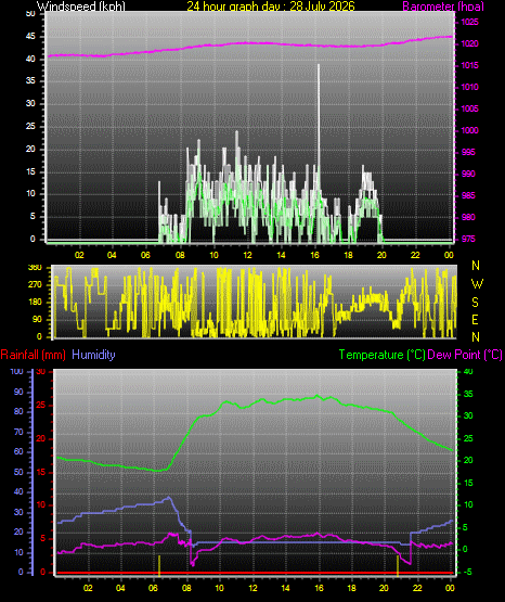 24 Hour Graph for Day 28